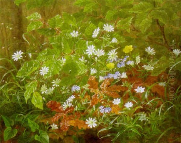 Skovbund Med Vilde Blomster Oil Painting by Anthonie, Anthonore Christensen