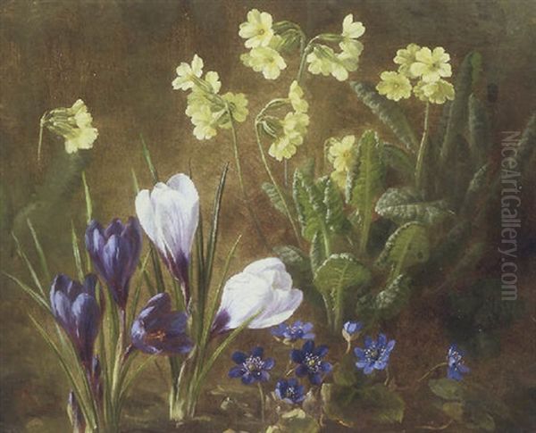 Motiv Med Blomstrende Krokus, Anemoner Og Aurikler Oil Painting by Anthonie, Anthonore Christensen