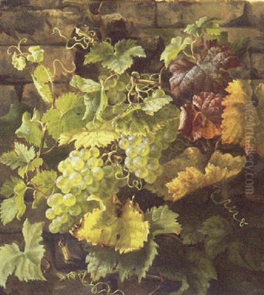 Vindruer Og Vinlov Ved En Mur Oil Painting by Anthonie, Anthonore Christensen