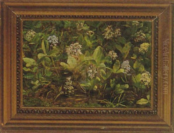 Blomstrende Vandplanter Oil Painting by Anthonie, Anthonore Christensen