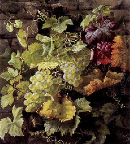 Vindruer Og Vinlov Pa En Mur Oil Painting by Anthonie, Anthonore Christensen