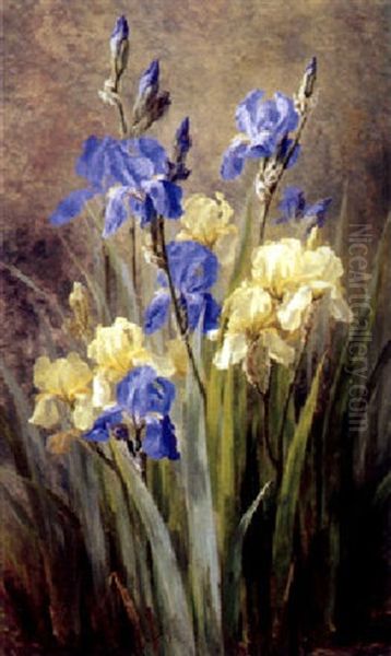 Gule Og Bla Iris Oil Painting by Anthonie, Anthonore Christensen