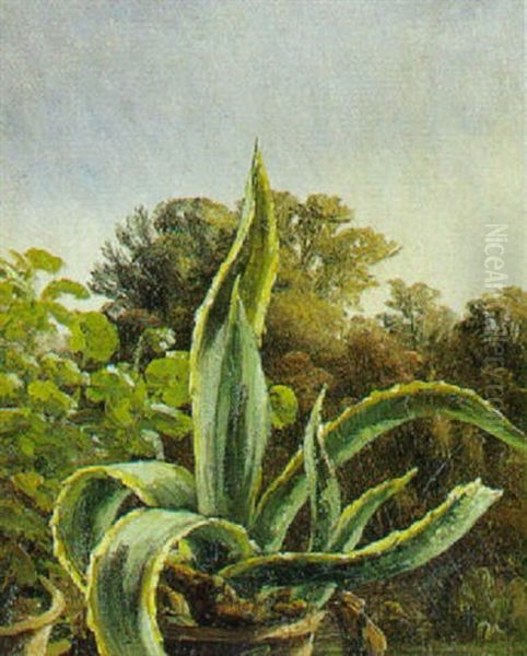 Agave Oil Painting by Anthonie, Anthonore Christensen
