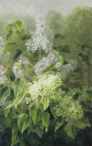 Syrener Oil Painting by Anthonie, Anthonore Christensen