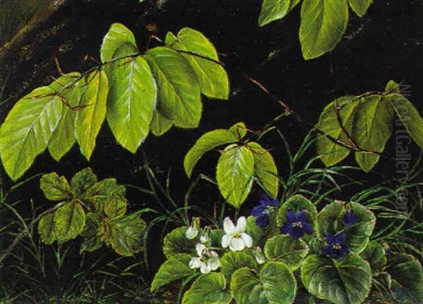 Skovbund Med Violer Og Bogegrene Oil Painting by Anthonie, Anthonore Christensen