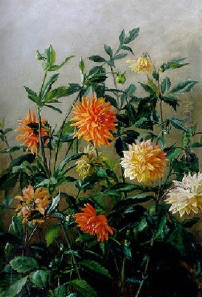 Prachtvolle Dahlienbluten Vor Grauem Hintergrund Oil Painting by Anthonie, Anthonore Christensen