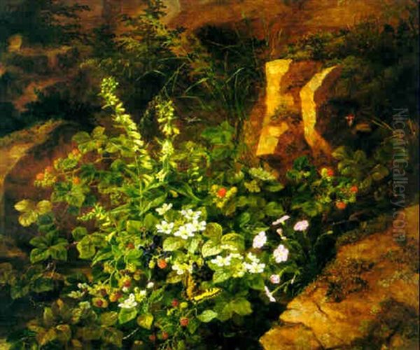 Blackberries And Wild Flowers In A Rocky Landscape Oil Painting by Anthonie, Anthonore Christensen