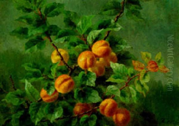 Abrikoser Pa En Gren Oil Painting by Anthonie, Anthonore Christensen