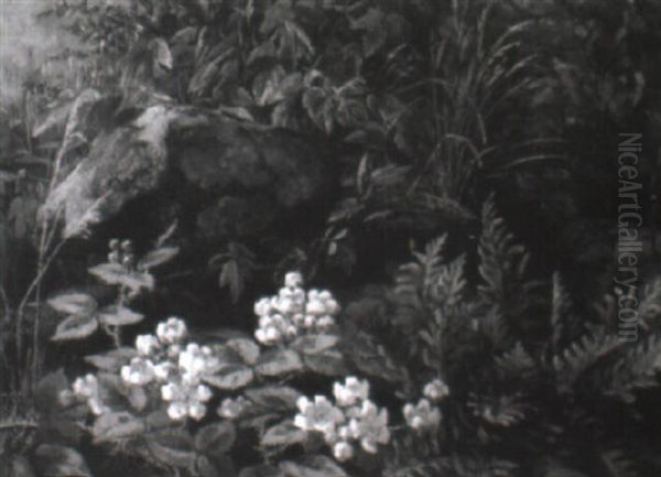 Skovbund Med Vilde Blomster Oil Painting by Anthonie, Anthonore Christensen