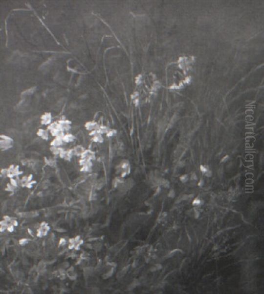 Still Life With Violets And Primroses Oil Painting by Anthonie, Anthonore Christensen