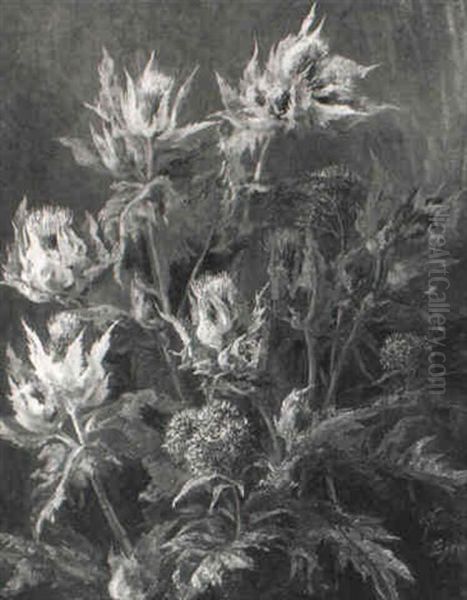 Disteln Oil Painting by Anthonie, Anthonore Christensen