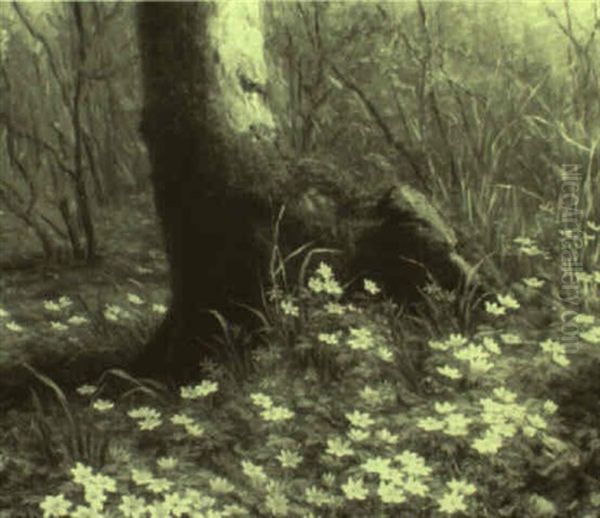 Wild Anemones On The Forest Floor Oil Painting by Anthonie, Anthonore Christensen