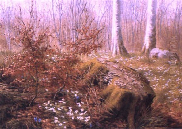 Forest Clearing With Flowers Oil Painting by Anthonie, Anthonore Christensen