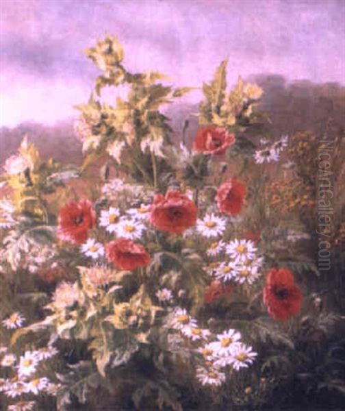 Poppies And Margueritas In A Field Oil Painting by Anthonie, Anthonore Christensen