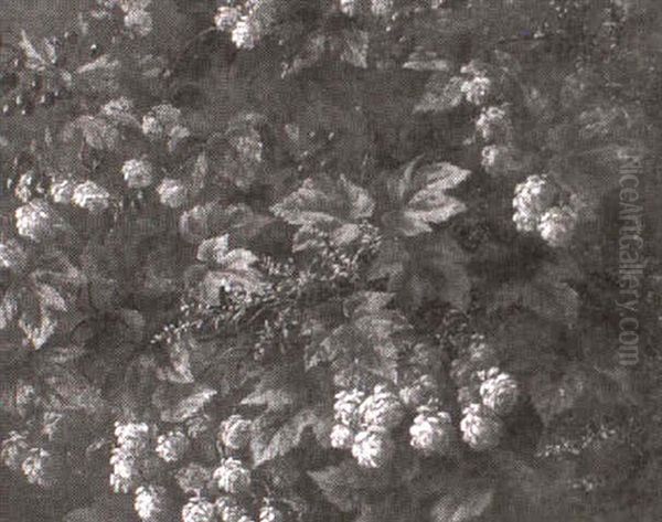 Blomstrende Humle Oil Painting by Anthonie, Anthonore Christensen