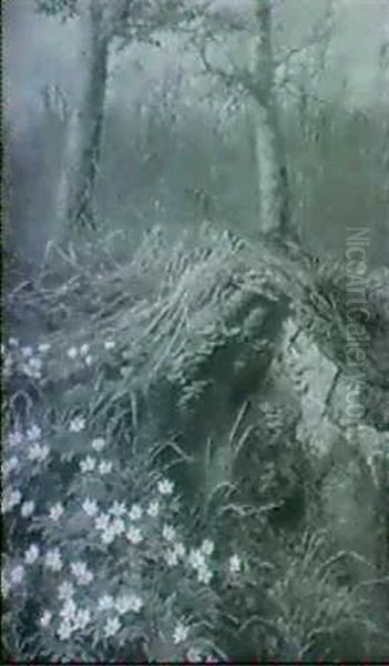 Anemoner I Skovbunden Oil Painting by Anthonie, Anthonore Christensen