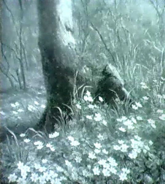 Skovbund Med Anemoner Oil Painting by Anthonie, Anthonore Christensen