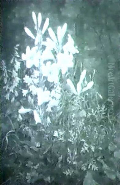 Hvide Liljer, Markblomster Og Sommerfugle Oil Painting by Anthonie, Anthonore Christensen