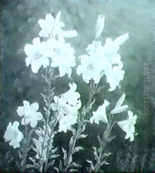 Hvide Liljer Oil Painting by Anthonie, Anthonore Christensen