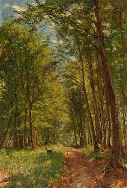 Forest Scape From Hornbaek Plantage Oil Painting by Godfred B.W. Christensen