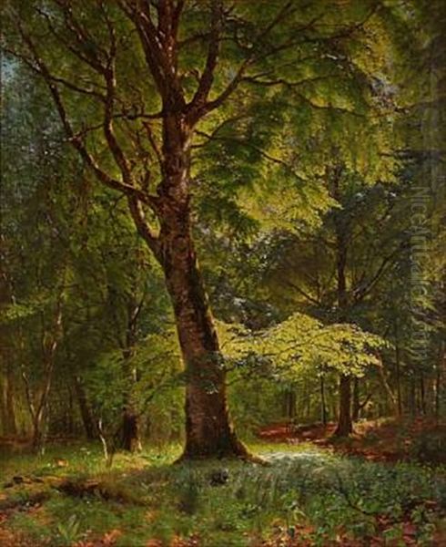 Summer Day In The Woods Oil Painting by Godfred B.W. Christensen