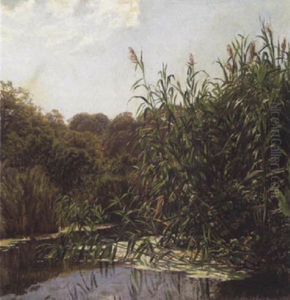 Sommerlandskab Med Alob Og Sivbevokset Bred Oil Painting by Godfred B.W. Christensen