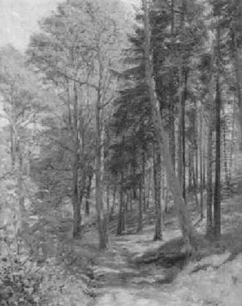 Skovparti Fra Plantagen I Hornbo Oil Painting by Godfred B.W. Christensen