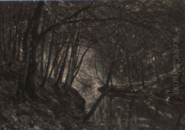 Skovparti Med Al+b Oil Painting by Godfred B.W. Christensen