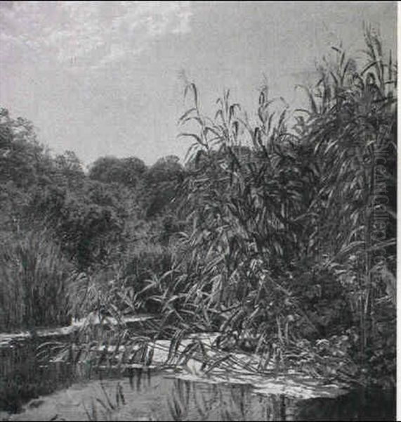 Skovsi Med Sivbevokset Bred Oil Painting by Godfred B.W. Christensen