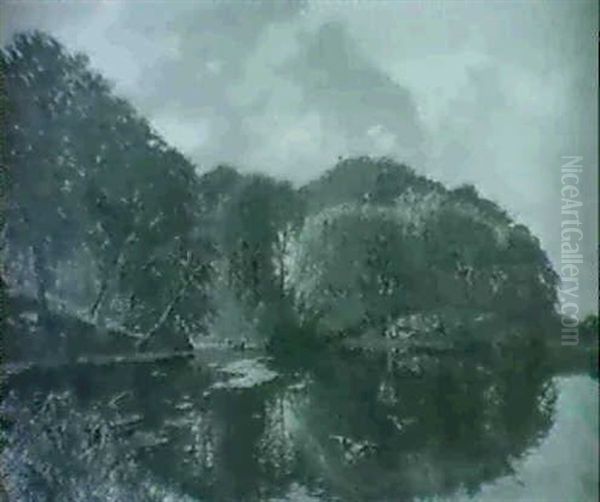 Skovso Med Robad Og Flyvende Aender Oil Painting by Godfred B.W. Christensen