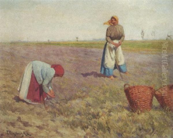 Bauerinnen Bei Der Kartoffelernte Oil Painting by Tadeusz Cieslewski
