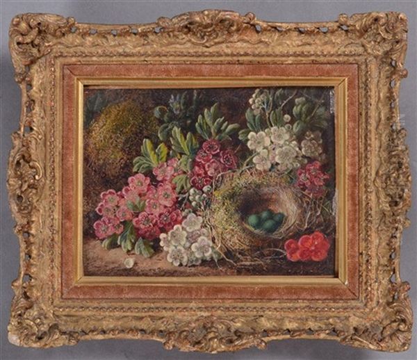 Still Life Of Flowers And Nest Oil Painting by George Clare