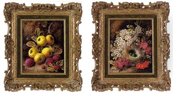 Apple Blossom, A Bird's Nest With Eggs On A Mossy Bank (+ Apples, Plums And Raspberries On A Mossy Bank; 2 Works) Oil Painting by George Clare