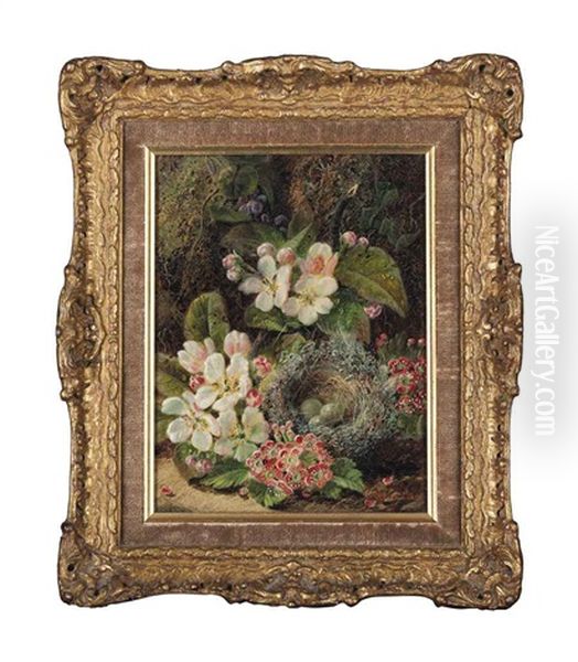 Bird's Nest And Primula And Plums, Gooseberries And A Raspberry (pair) Oil Painting by Oliver Clare