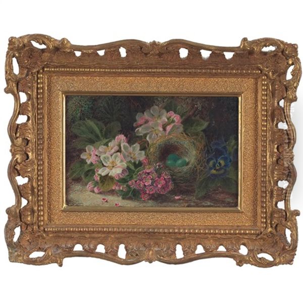 Nest With Robin's Eggs Oil Painting by Oliver Clare