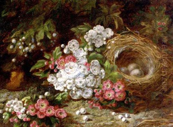 Apple Blossom, Elderberries And A Bird's Nest With Eggs, On A Mossy Bank Oil Painting by Oliver Clare