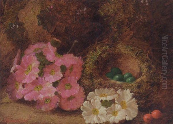 Primulas, Berries, A Bird's Nest With Eggs On A Mossy Bank Oil Painting by Oliver Clare