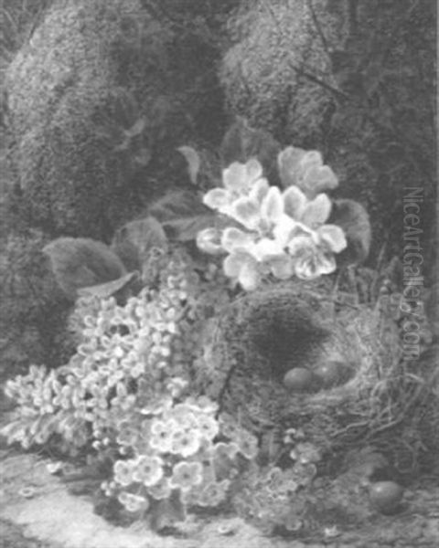 Still Life With Blossom And Bird's Nest Oil Painting by Oliver Clare