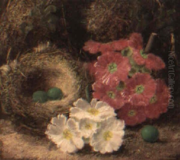 Apple Blossom, Flowers And A Bird's Nest On A Mossy Bank Oil Painting by Oliver Clare