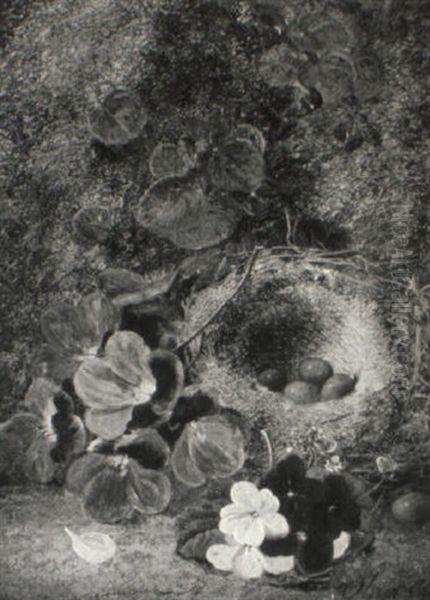 Still Life With Flowers And Bird's Nest A Plein Air Oil Painting by Oliver Clare