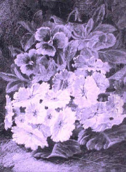 Primula Oil Painting by Oliver Clare