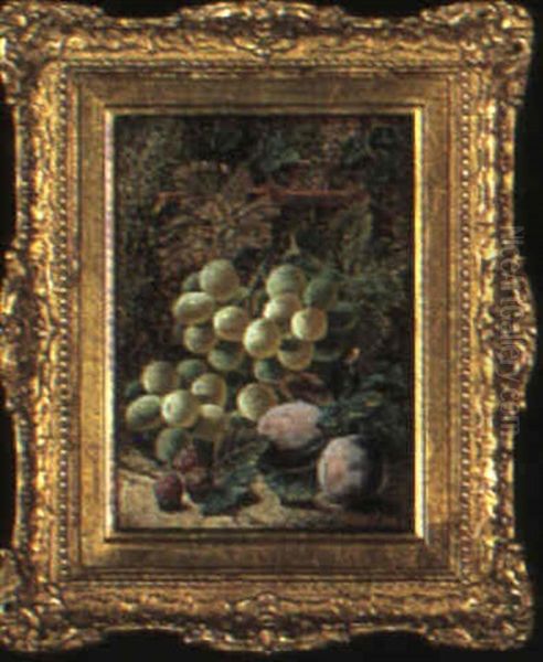 Still Life With Grapes, Raspberries And Plums Oil Painting by Oliver Clare