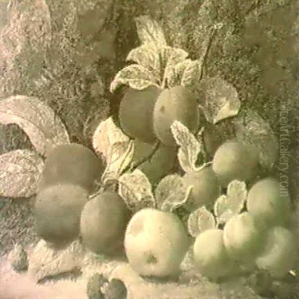 Fruit By A Mossy Bank Oil Painting by Oliver Clare