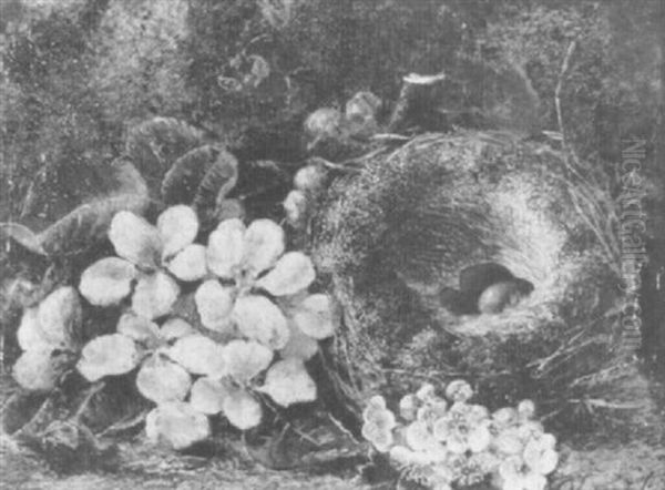 Apple Blossom By A Birs's Nest On A Mossy Bank Oil Painting by Oliver Clare