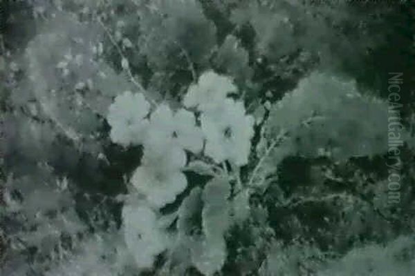 Primroses On A Mossy Bank Oil Painting by Oliver Clare