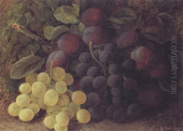 Still Life Of Grapes And Plums Oil Painting by Vincent Clare
