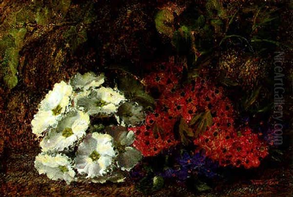 Grapes And Plums On A Mossy Bank Oil Painting by Vincent Clare