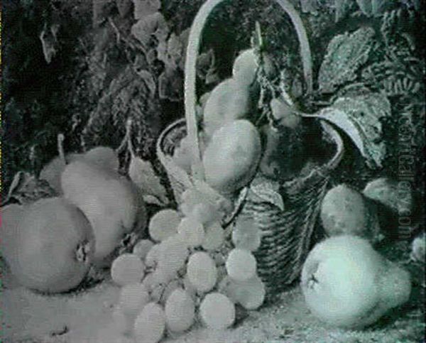 Still Life Of Grapes, Peaches And Plums On A Mossy Bank Oil Painting by Vincent Clare