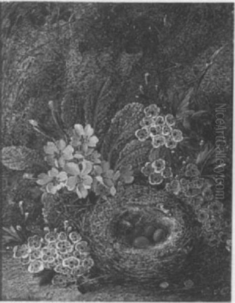 Still Life Of Blossom, Primroses And A Bird's Nest Oil Painting by Vincent Clare