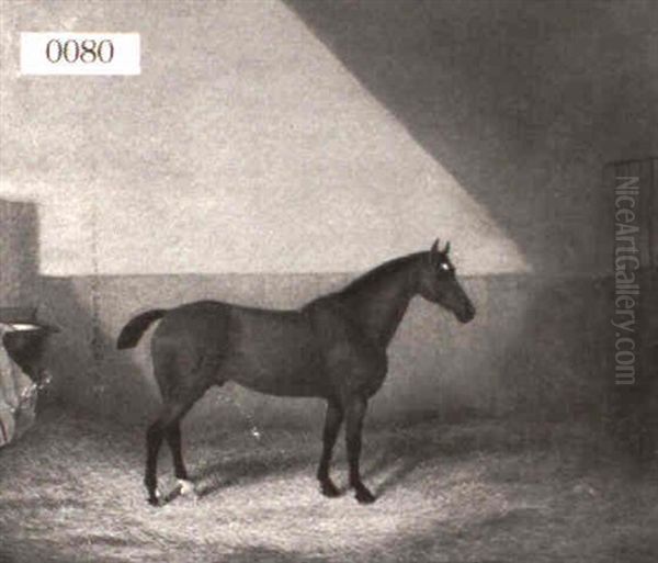 Bonadies Oil Painting by James Clark